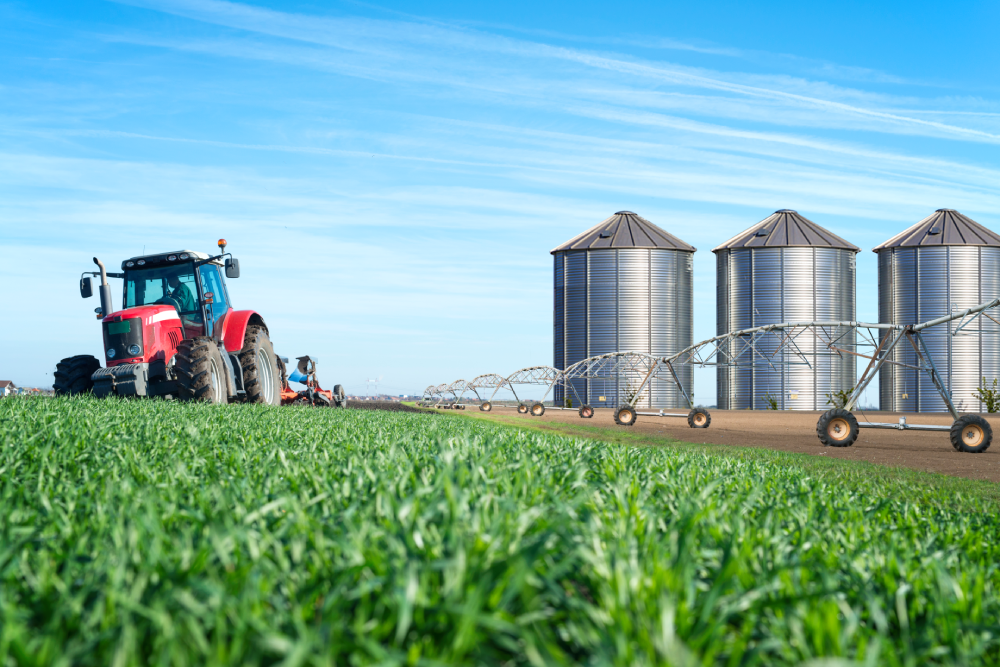 XXI ERDN Conference: Food  systems transition for sustainable rural development