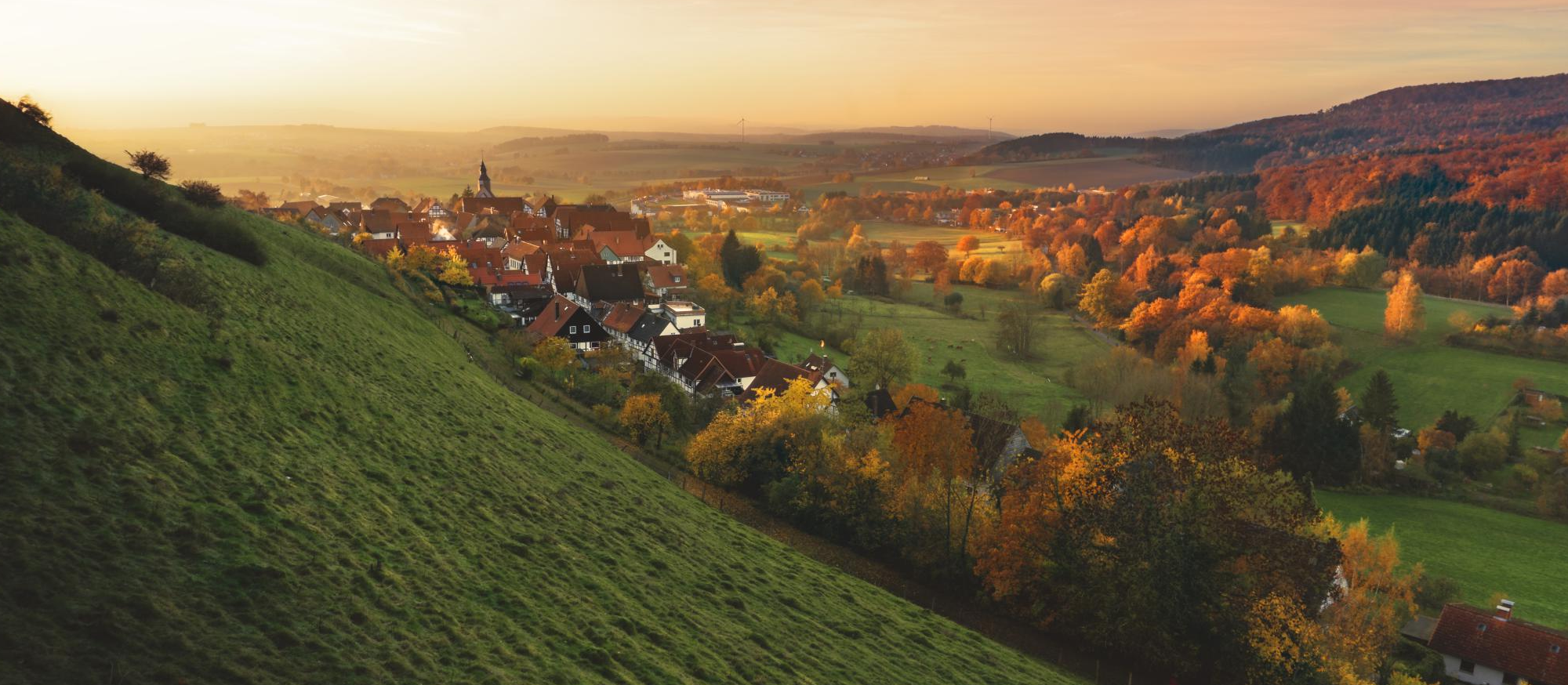 BIOEASTsUP at the the Bioeconomy Innovation Week, 3rd to 5th March 2021!