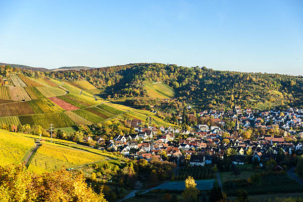 XII European Rural Development Network Conference – CHIŞINĂU 2014