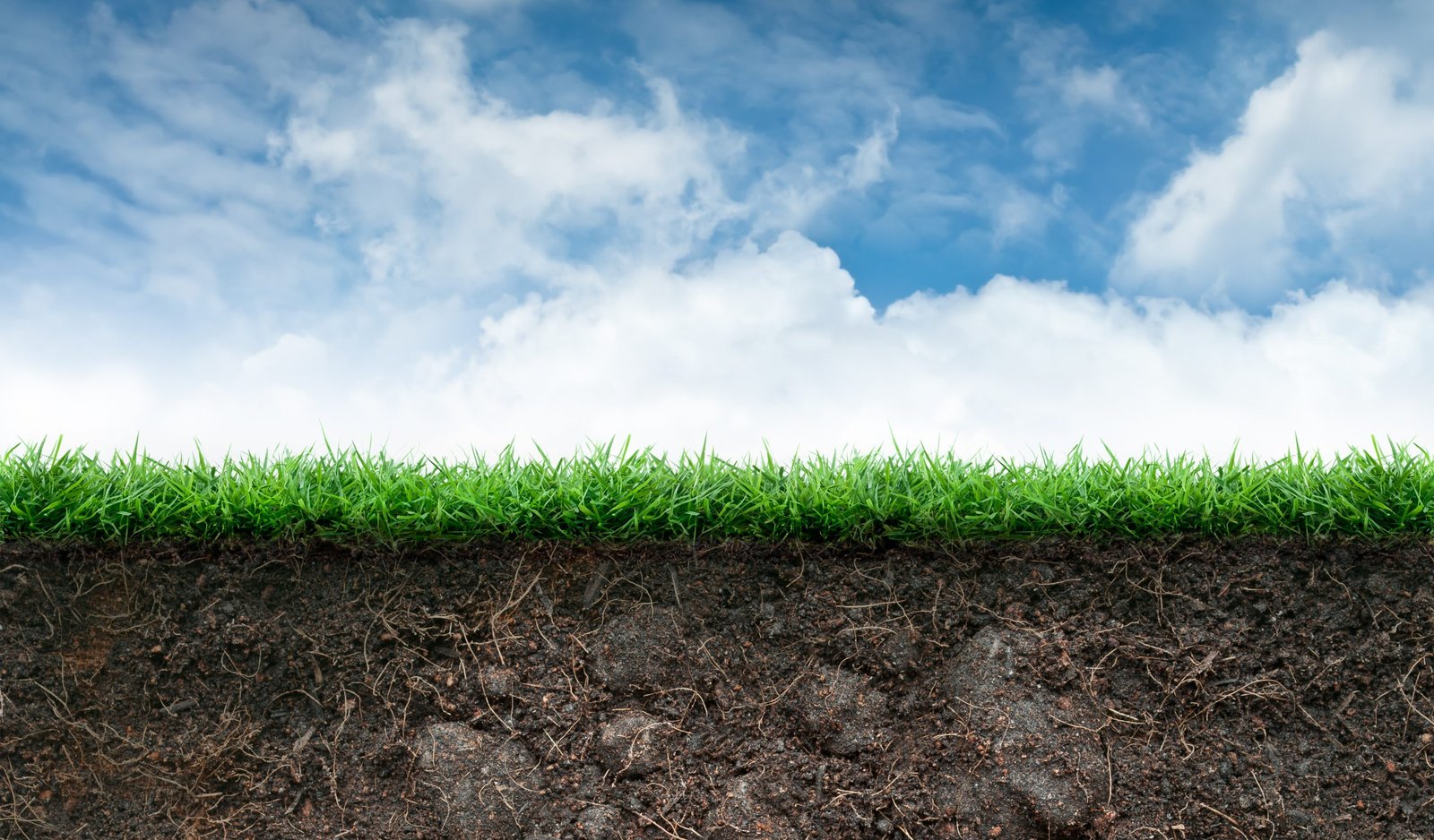 SOILSCAPE Open Call is officially launched!