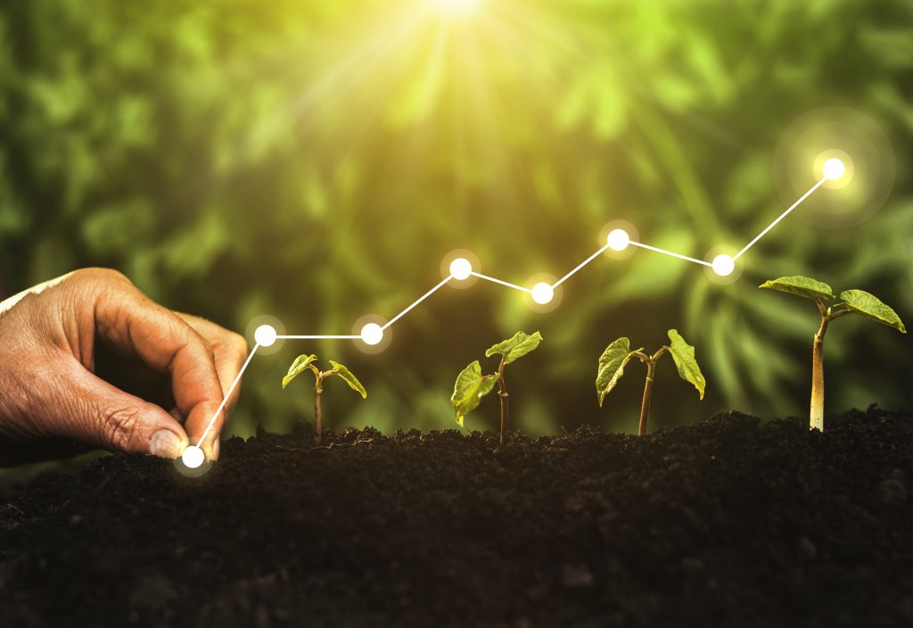 XVII ERDN Conference – CAP 2021+: balanced development among the dimensions of rural sustainability