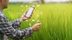 Evolution of Producers Organizations as organizational model for the development of services, district networks systems, managerial skills of agri-food SME, technology transfer and internationalization