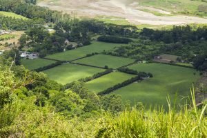 Future Oriented Policy for Rural Areas: Exploring current situation of rural attractiveness in 12 PoliRural pilot regions