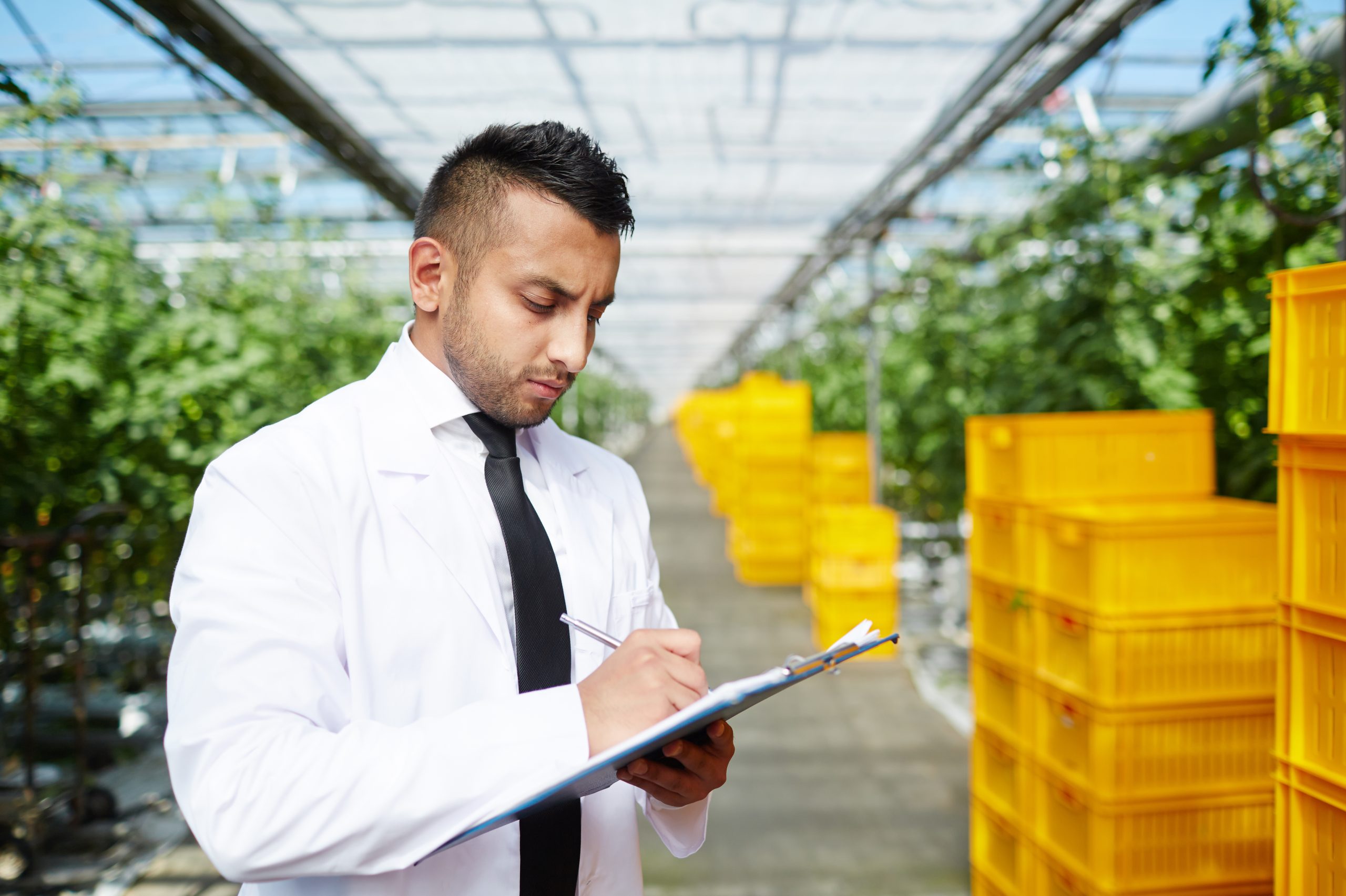 IX International Scientific Conference „Agriculture and food supply: markets and policies”