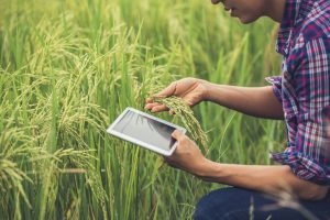 Visions of bioeconomy and agricultural policies” 25-26 September 2018, Puławy
