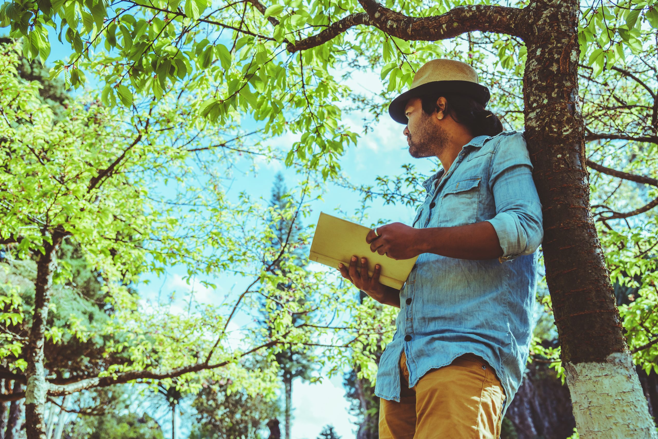 SHERPA project research publication: EU Rural Policy’s Capacity to Facilitate a Just Sustainability Transition of the Rural Areas