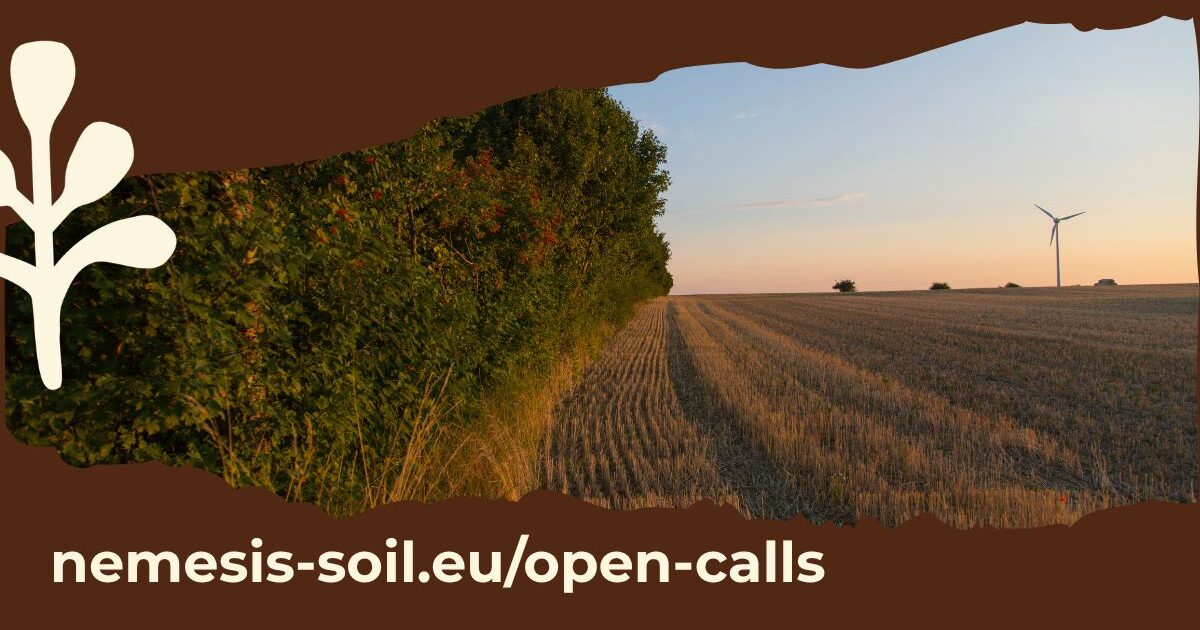 Nemesis Launches Open Call 1 for Mediterranean Soil Health Experimental Sites