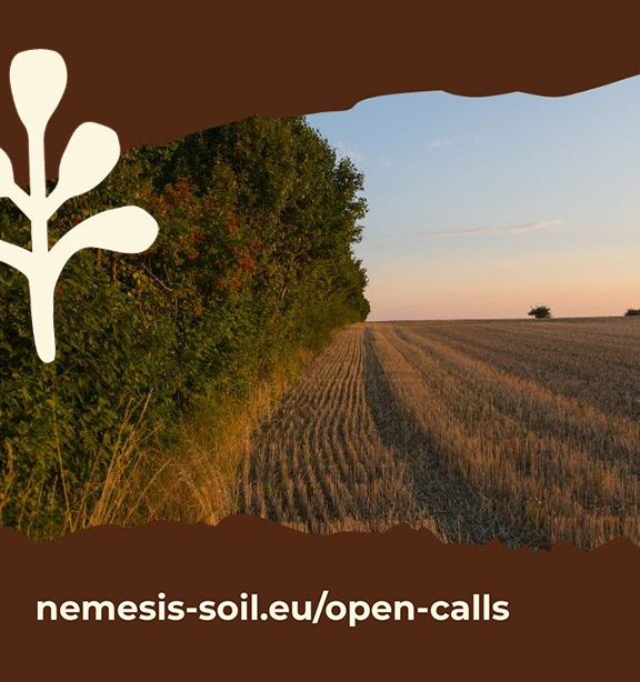 Nemesis Launches Open Call 1 for Mediterranean Soil Health Experimental Sites